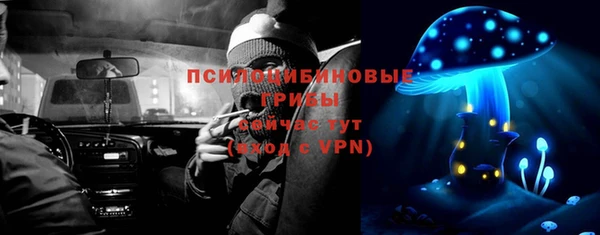 индика Зеленодольск