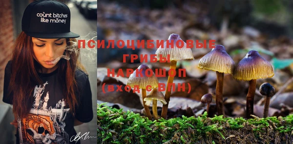 героин Инта
