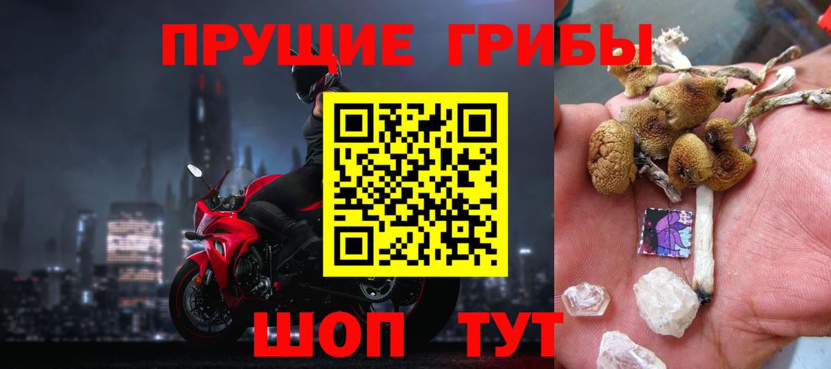 Саянск  Галлюциногенные грибы прущие грибы  Галлюциногенные грибы прущие грибы  Вход с VPN 