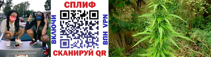 Бошки Шишки OG Kush  Саянск 