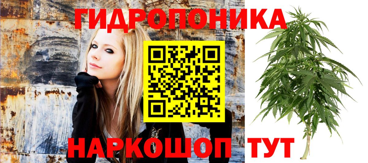 Саянск  МАРИХУАНА тримм  Вход с VPN  Шишки марихуана SATIVA & INDICA 